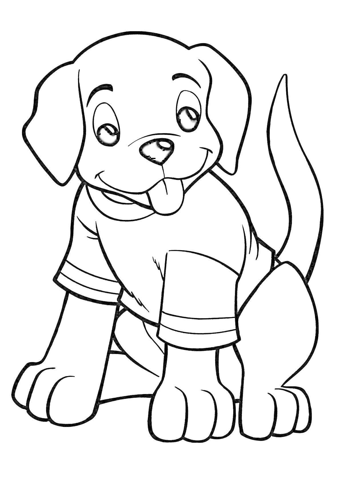 Раскраска Собачка в футболке, высунувшая язык, сидящая с поднятым хвостом