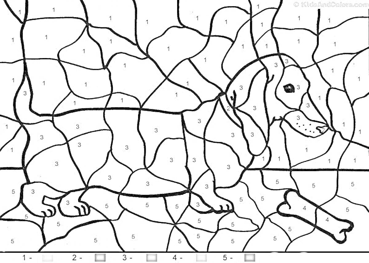 Раскраска Раскраска по номерам - собака с косточкой