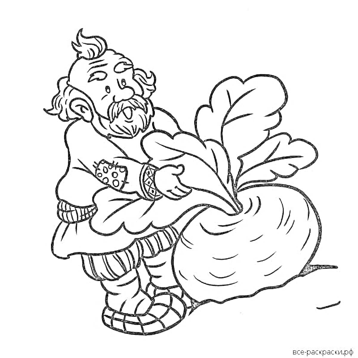 На раскраске изображено: Дед, Персонаж, Традиционная одежда, Ботва