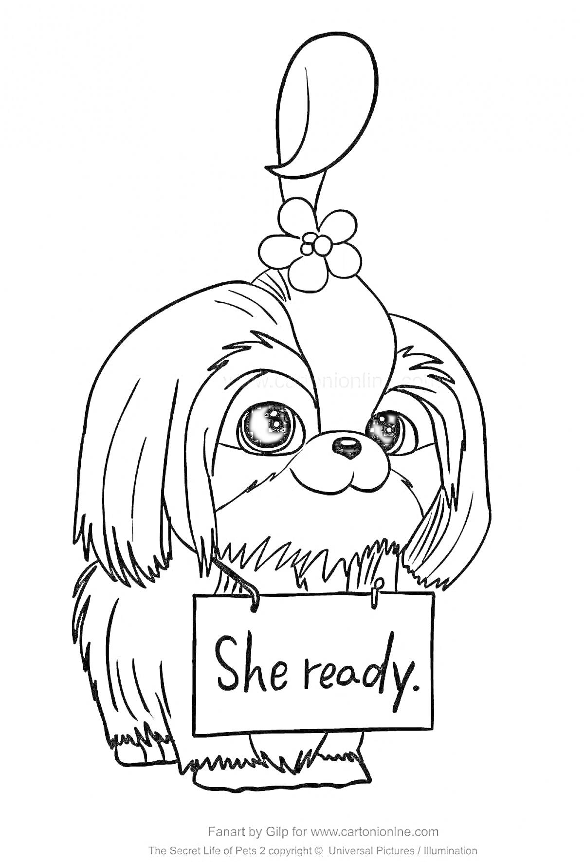 Раскраска Собака с цветком на голове и табличкой 