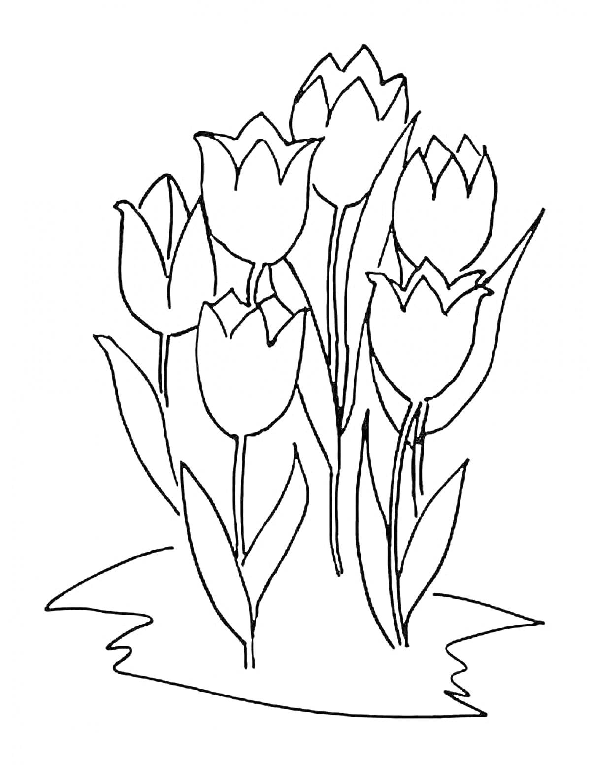 Раскраска Тюльпаны, шесть цветов с листьями на траве
