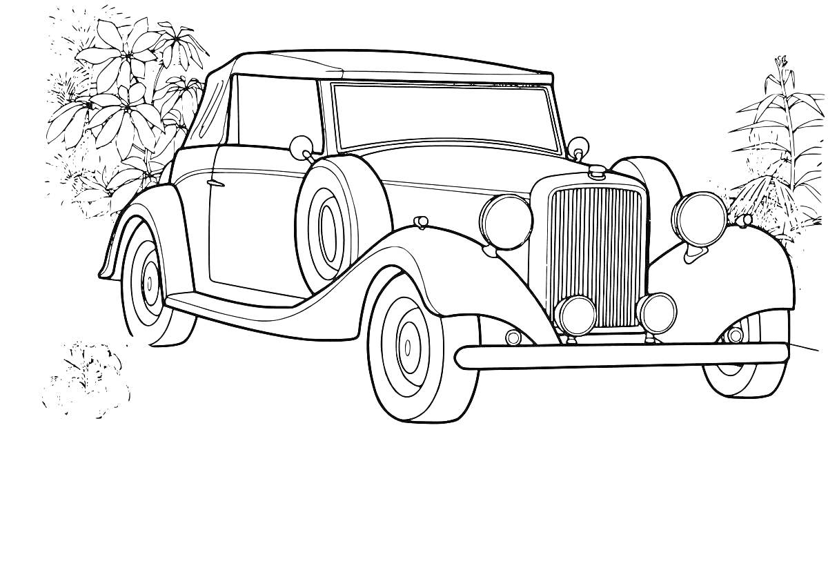 На раскраске изображено: Роллс ройс, Ретро автомобиль, Цветы, Кусты, Транспорт, Классический автомобиль