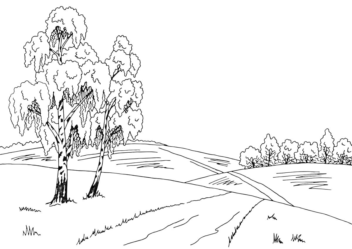 Раскраска Пейзаж родного края с дорогой, деревьями и холмами