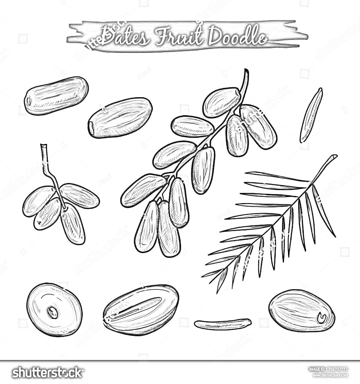 Раскраска 