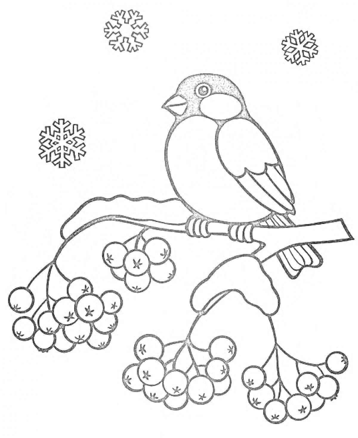 Раскраска Снегирь на ветке рябины с ягодами и снежинками