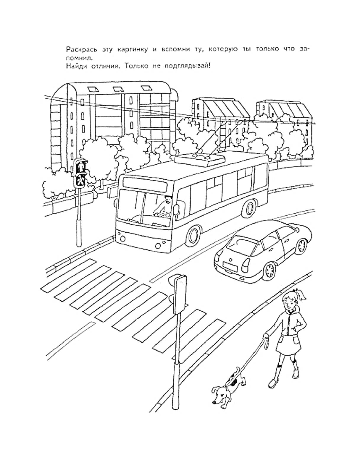 Раскраска Городская улица с автобусом, легковым автомобилем, светофором, пешеходным переходом, женщиной с собакой, деревьями и многоквартирными домами