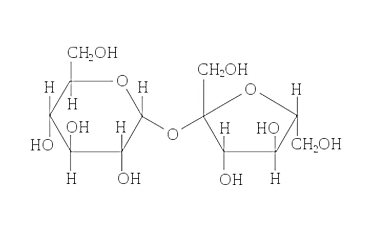 Структурная формула сахарозы с указанием атомов углерода, водорода, кислорода и гидроксильных групп в кольцевой форме