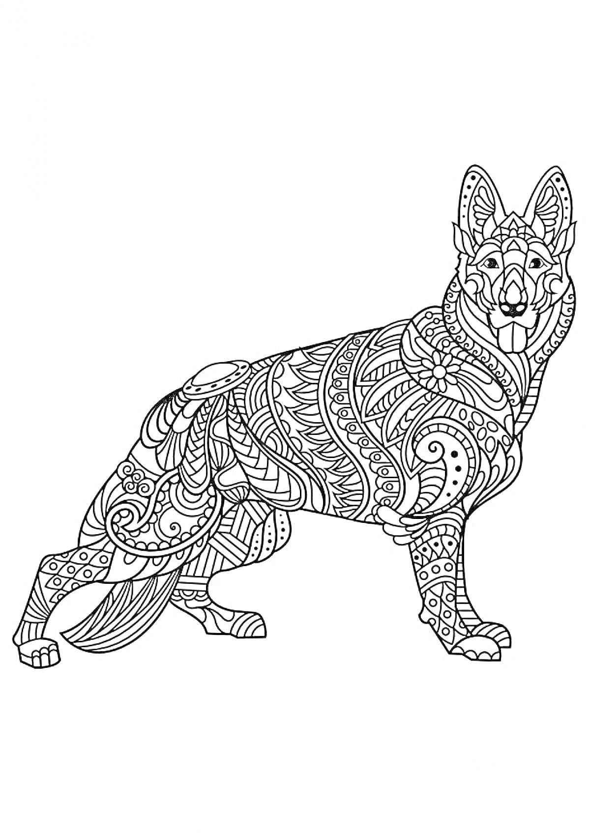 Антистресс раскраска с собакой, стоящей на четырех лапах, украшенной зентангл-узорами, включая линии, завитки и геометрические фигуры