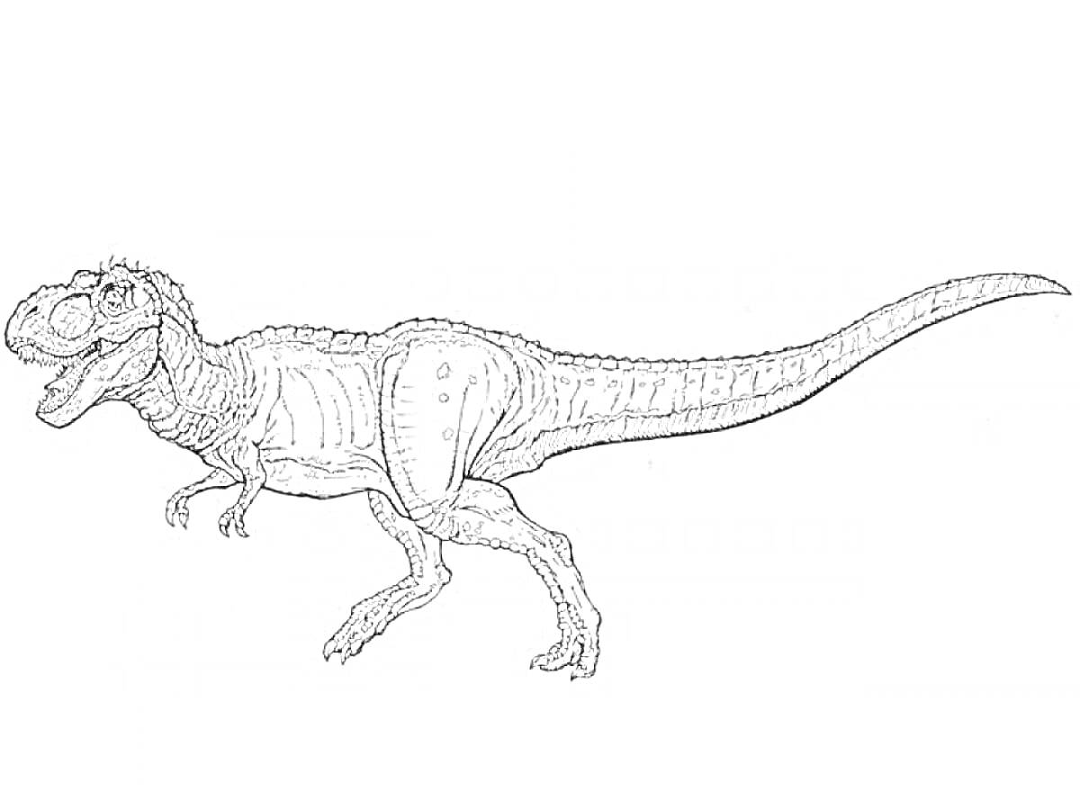 На раскраске изображено: Динозавр, Рекс, Боковой вид, Животное, Для детей, Доисторическая эпоха, Рептилии, Тираннозавр Рекс