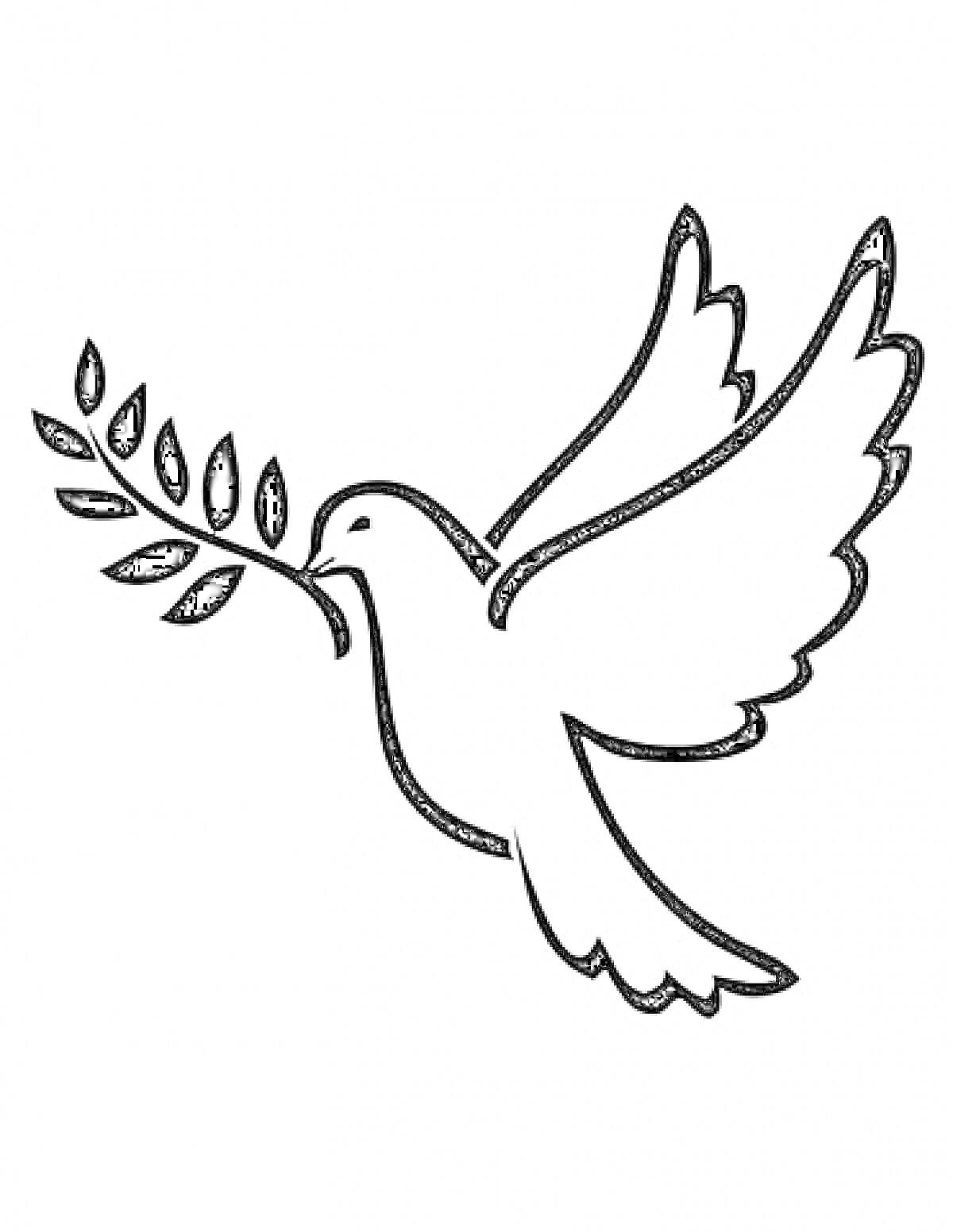 На раскраске изображено: Мир, Птица, Линии, Голуби, Контурные рисунки, Символы