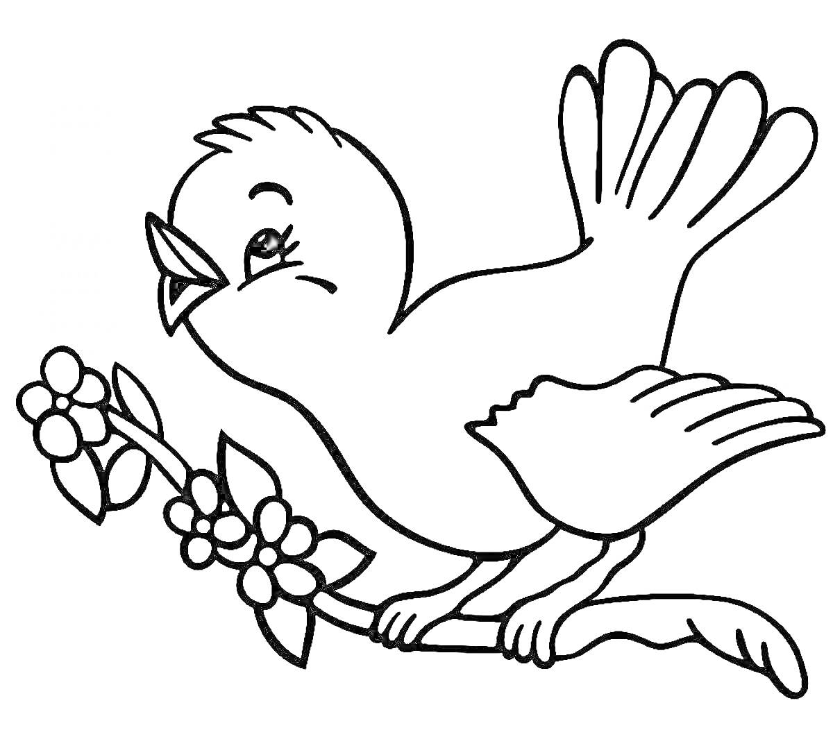 Раскраска Птичка на ветке с цветами