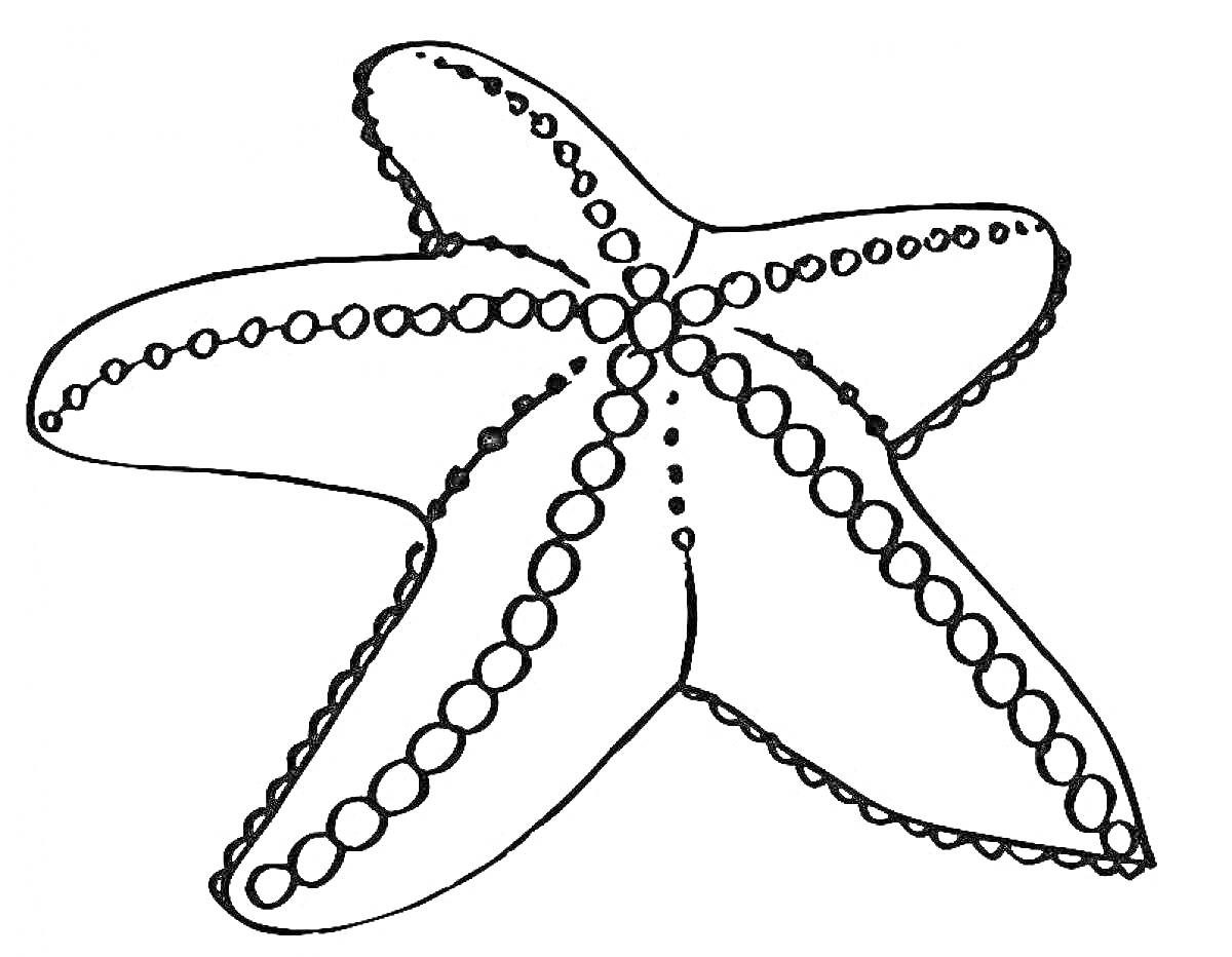 На раскраске изображено: Морская звезда, Морские обитатели, Узоры, Кружки, Море, Животное