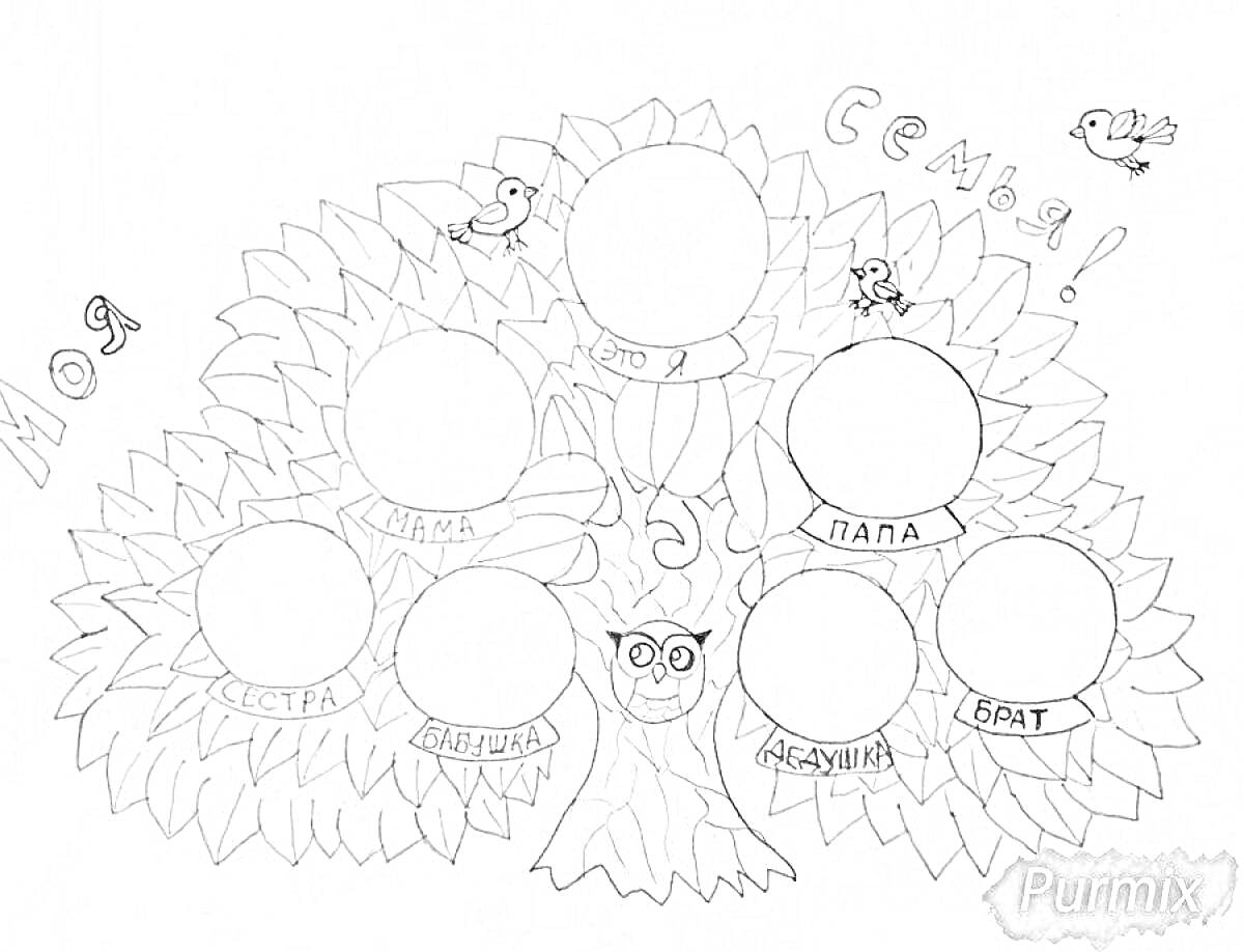 Раскраска Семейное древо с пустыми кругами для заполнения и элементами совы и птиц