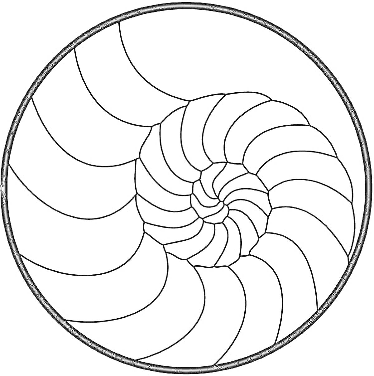 На раскраске изображено: Спираль, Геометрия