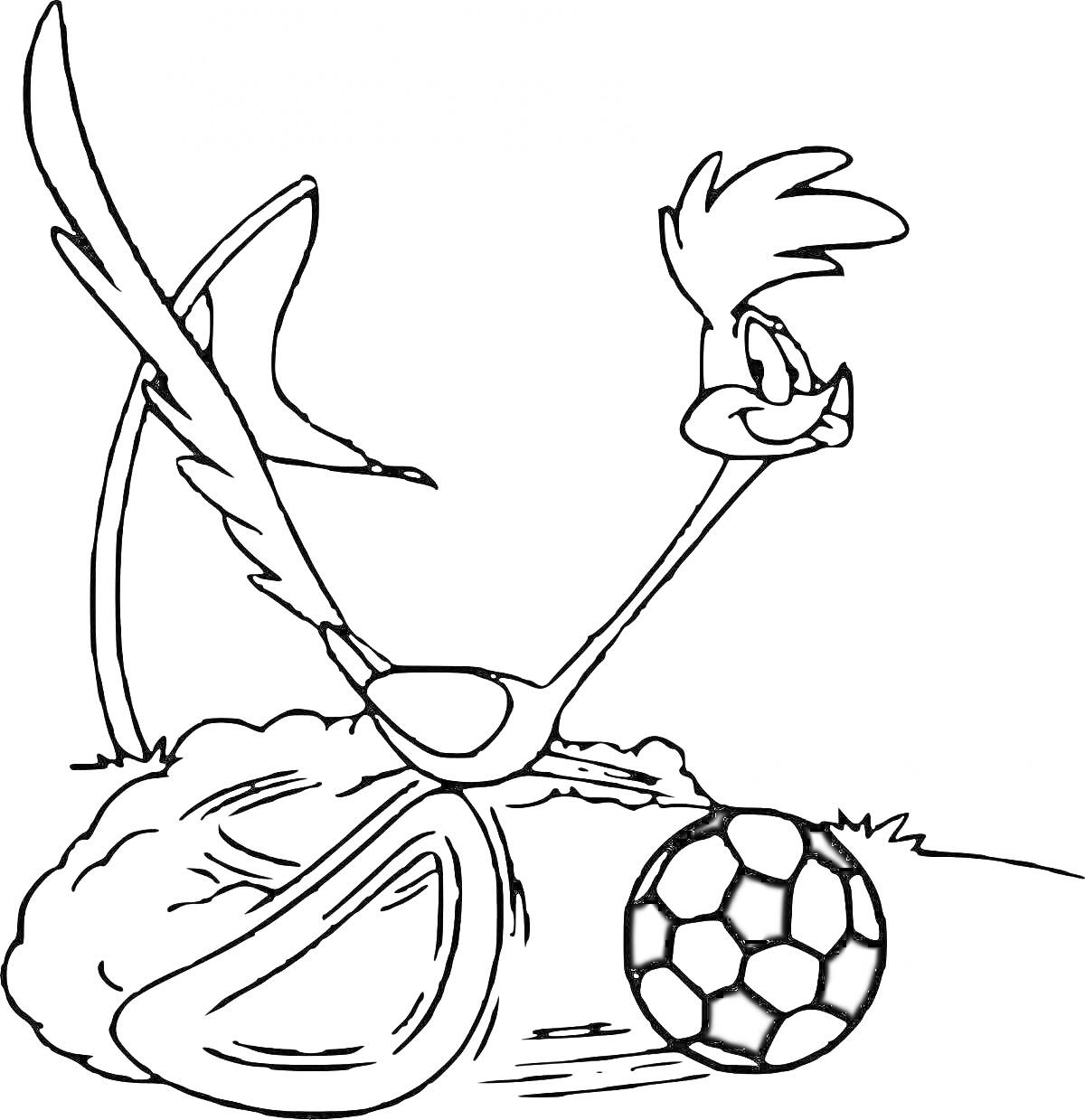 На раскраске изображено: Персонаж, Утёс, Футбольный мяч, Спорт, Птица, Бегун