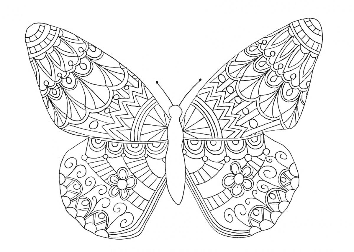 Раскраска бабочка с узорами, цветы, геометрические формы