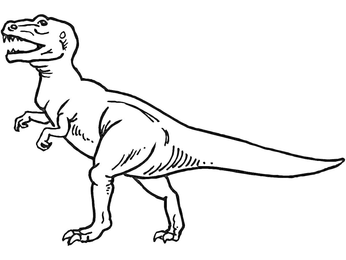 Раскраска Раскраска с Тираннозавром Рекс, изображение динозавра в полный рост, вид сбоку