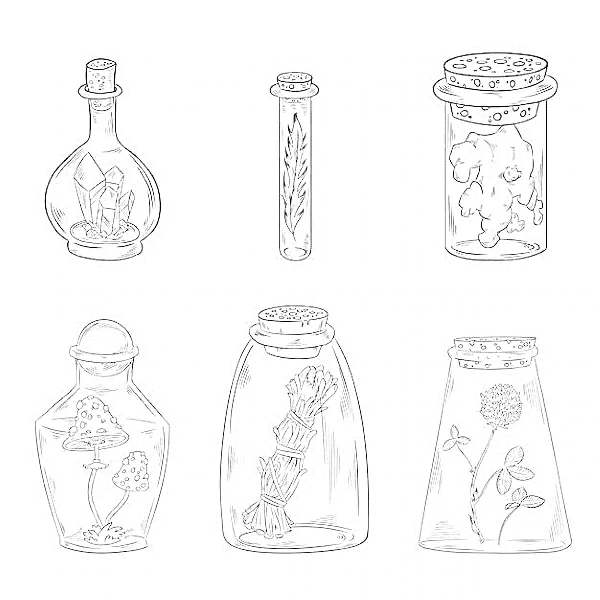 Раскраска Коллекция рецептов зелий в бутылочках: бутылка с кристаллами, бутылка с травой, бутылка с цветком, бутылка с грибом, бутылка с пучком трав и бутылка с растением.