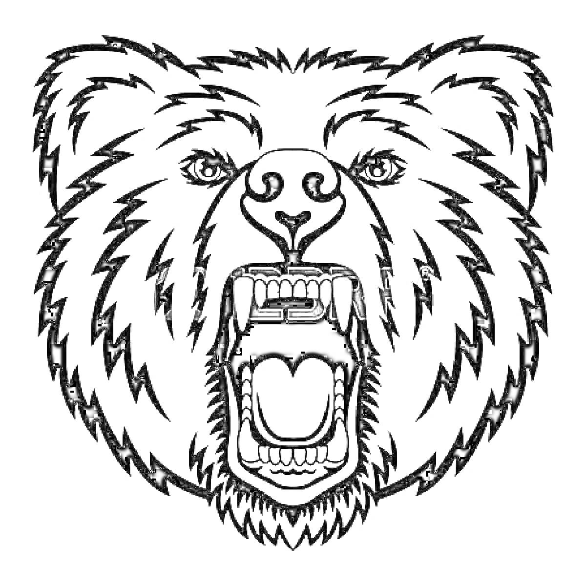 На раскраске изображено: Медведь, Агрессия, Открытая пасть, Клыки, Животные, Злость, Хищники