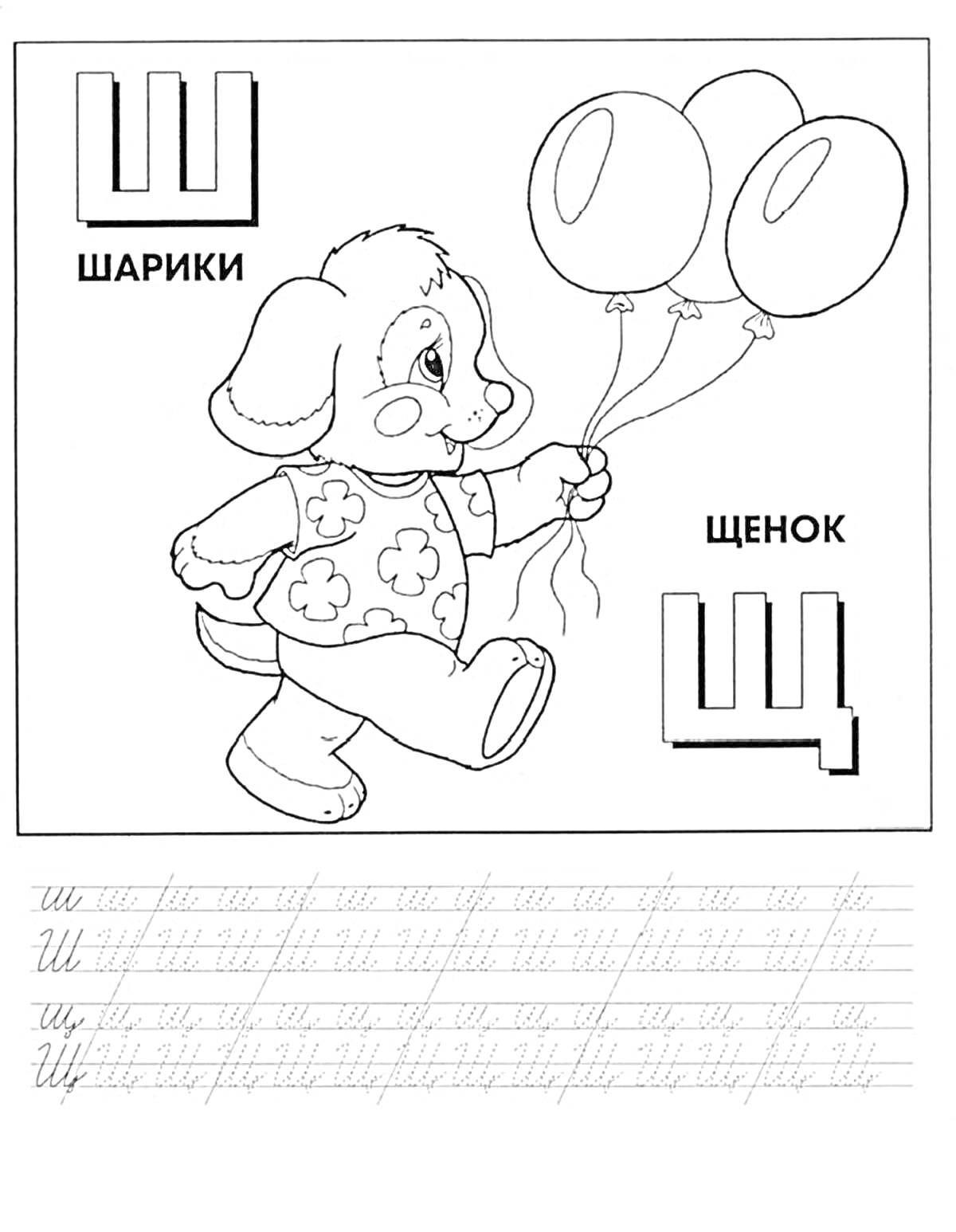 РаскраскаБуква Ш: щенок и шарики