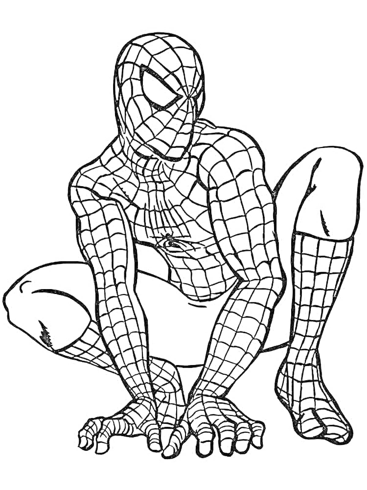 Раскраска Человек-паук в костюме, присев на корточки
