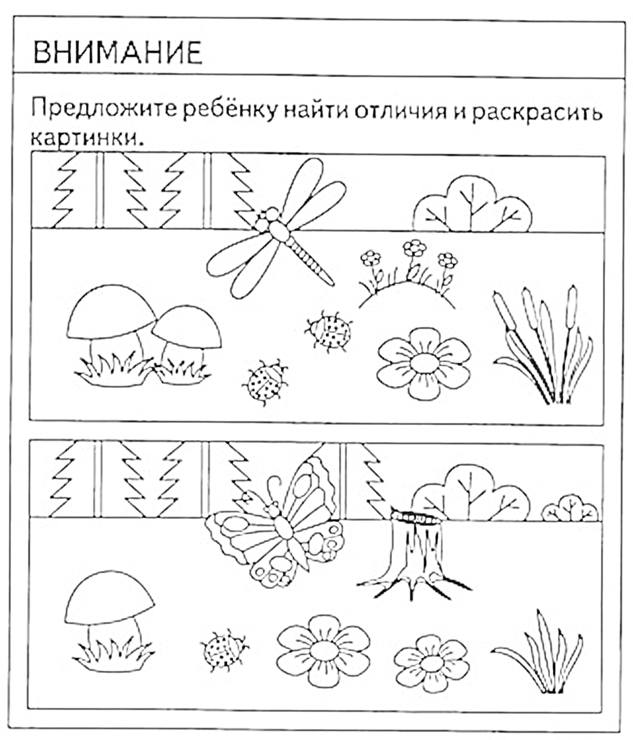 Раскраска Найди и раскрась отличия. Элементы: стрекоза в верхней части, бабочка в нижней части, два гриба сверху и один гриб снизу, три цветка сверху и четыре цветка снизу, куст в верхней части, дерево в нижней части, камыш в обеих частях, узорный забор вверху и вн