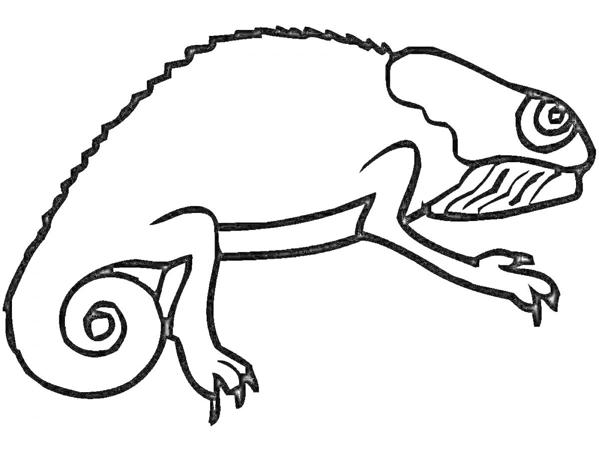 Раскраска Хамелеон с закрученным хвостом, большими глазами и выраженными лапами