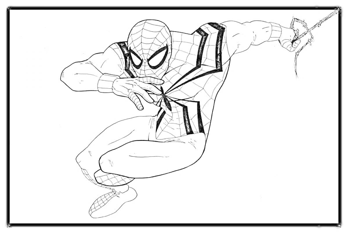 Раскраска Человек-паук в динамическом прыжке с паутиной
