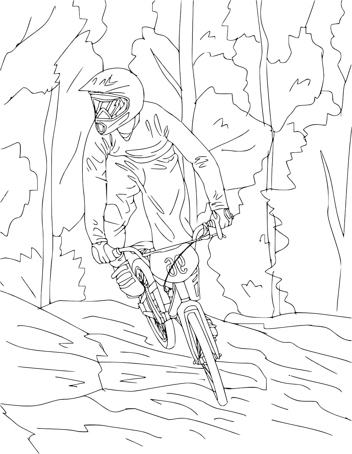 Раскраска Велосипедист в лесу