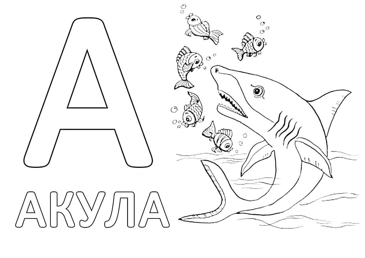 На раскраске изображено: Буква А, Акула, Обучение, Алфавит, Морские животные, Для детей, Рыба