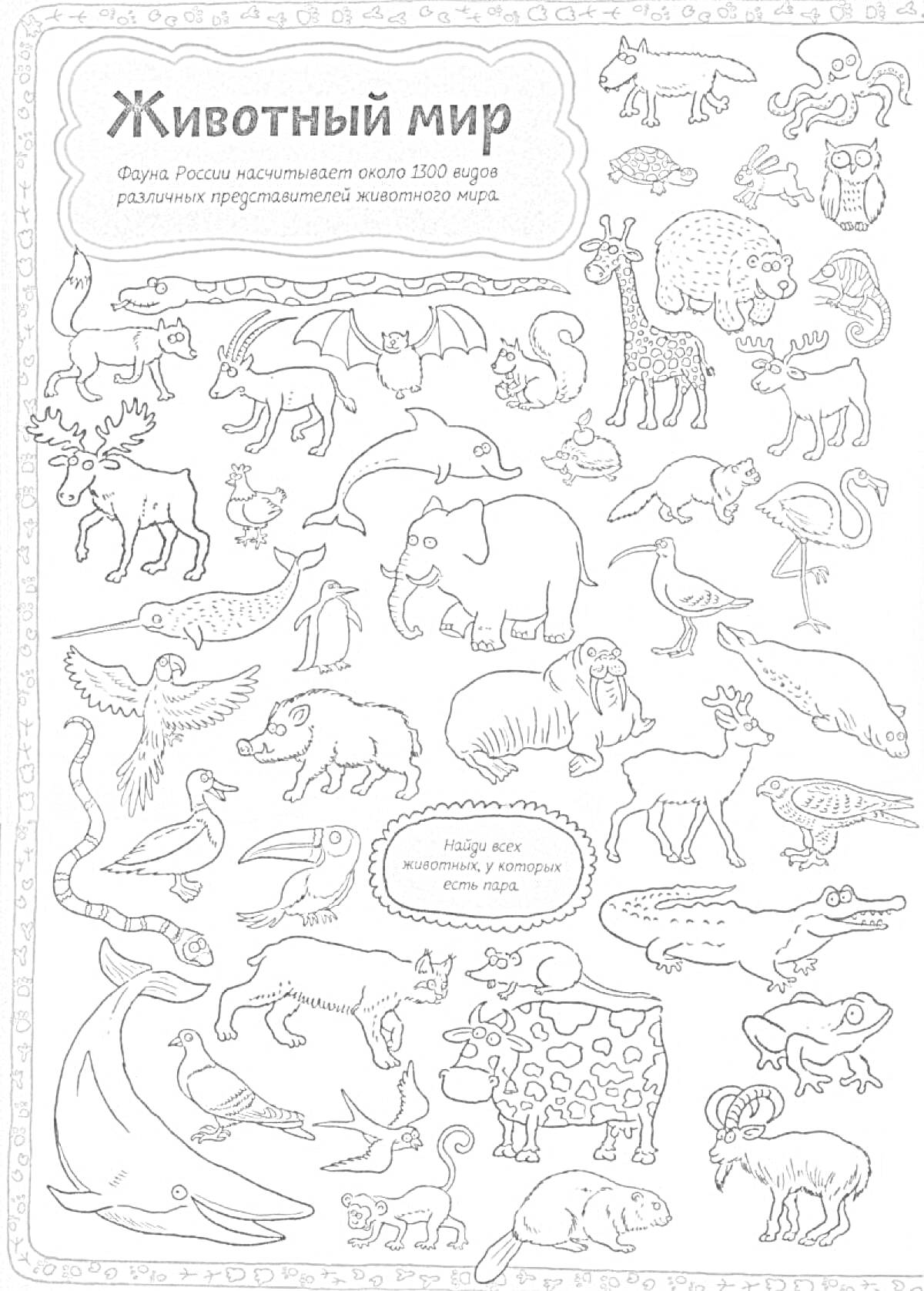 На раскраске изображено: Находилки, Лиса, Кролик, Собака, Корова, Тигр, Носорог, Кенгуру, Осел, Орел, Хамелеон, Улитка, Енот, Верблюд, Животные, Дельфины, Жирафы, Жуки, Змеи, Пауки, Пингвины, Попугаи, Морские звезды