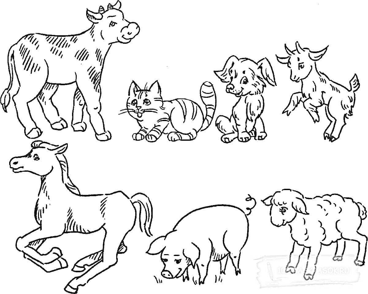 Раскраска Корова, кошка, собака, коза, лошадь, поросёнок и овца на одной картинке