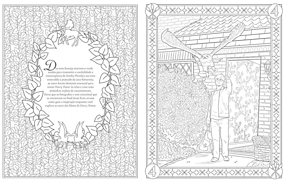 Раскраска Гарри Поттер с Хедвигой, текст с декоративной рамкой из листьев и сов