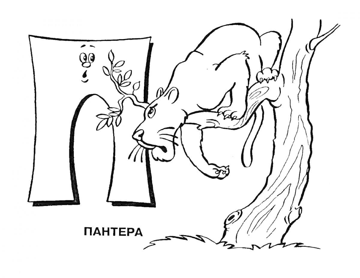 На раскраске изображено: Буква П, Пантера, Алфавит, Животные, Листва