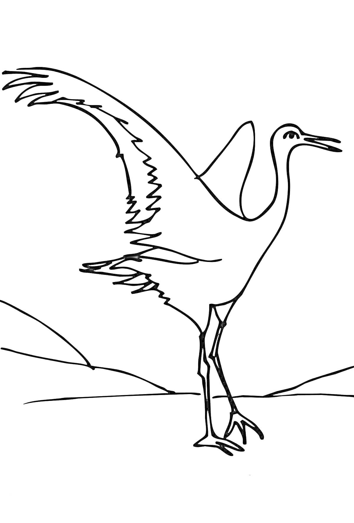 Раскраска Журавль с расправленными крыльями, стоящий на земле, на фоне холмов