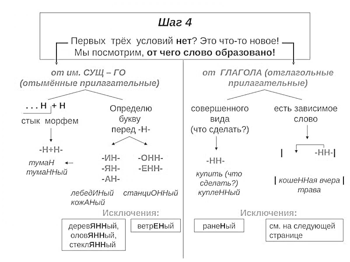 На раскраске изображено: Прилагательное, НН, Суффиксы, Морфемы, Примеры, Правила, Исключения