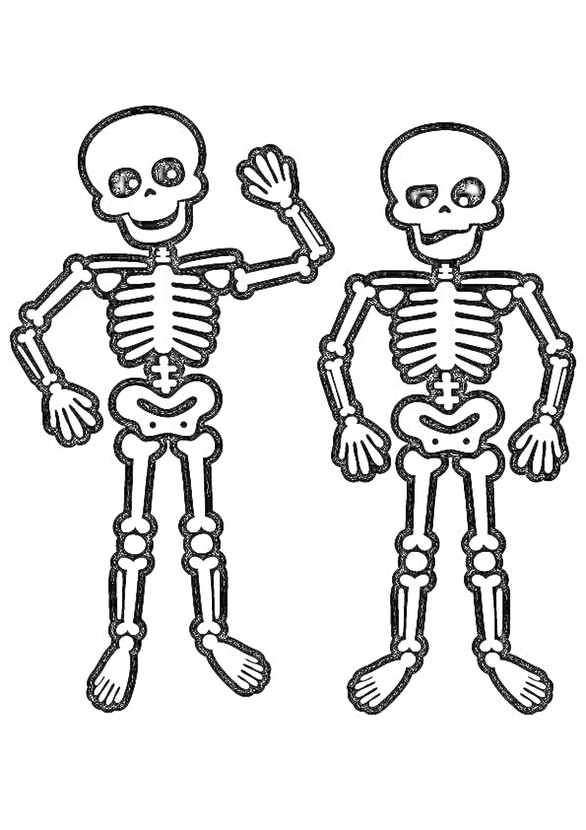 Раскраска Два скелета с поднятыми руками