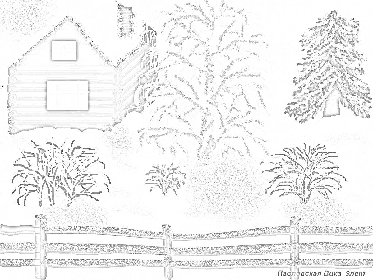 Раскраска Дом, белая береза и ель под снегом в зимнем сельском пейзаже с забором и кустами