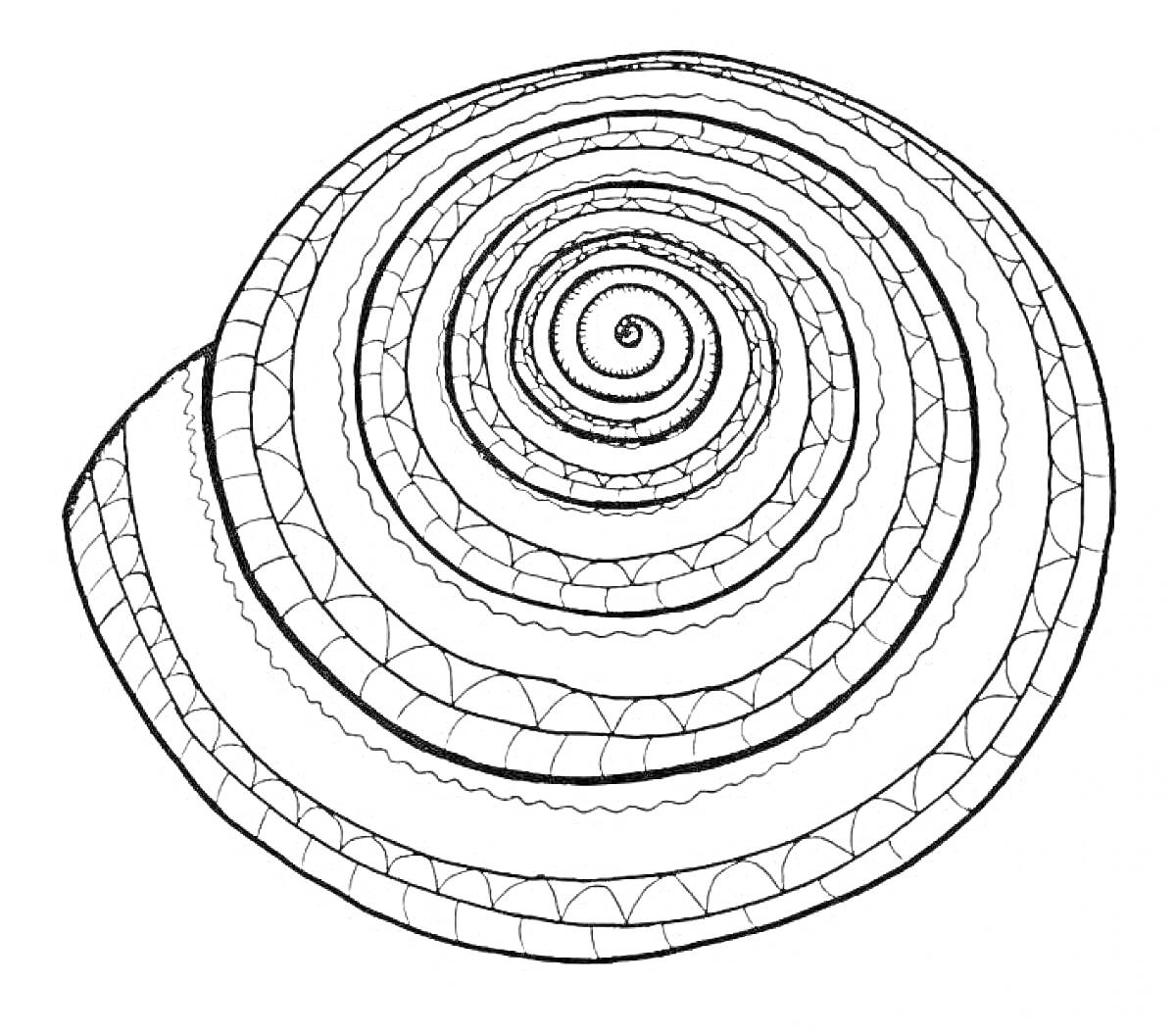 На раскраске изображено: Спираль, Узоры, Геометрические формы, Дуги, Треугольники, Круги