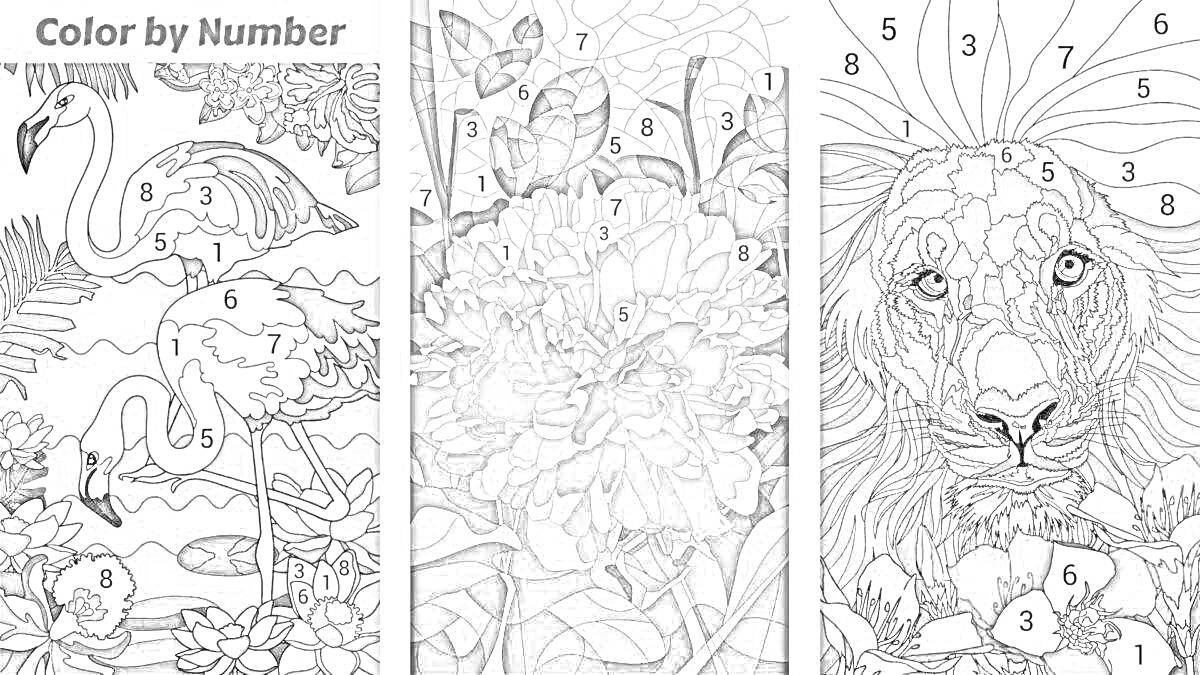 На раскраске изображено: Фламинго, Лилии, Цветы, Лев, Природа, Арт, Хэппи колор, Животные, Бабочка, По номерам
