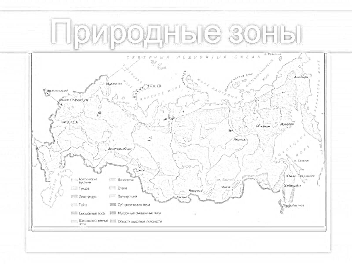 Раскраска Природные зоны России - карта с обозначением разных природных зон.