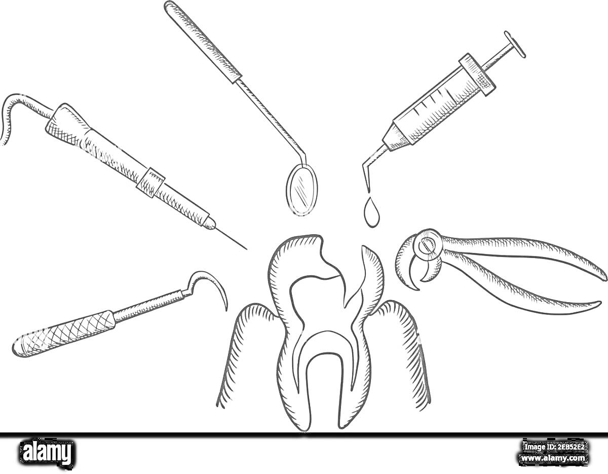 Зуб и стоматологические инструменты: зеркало, шприц, щипцы, стоматологический крючок, зонд