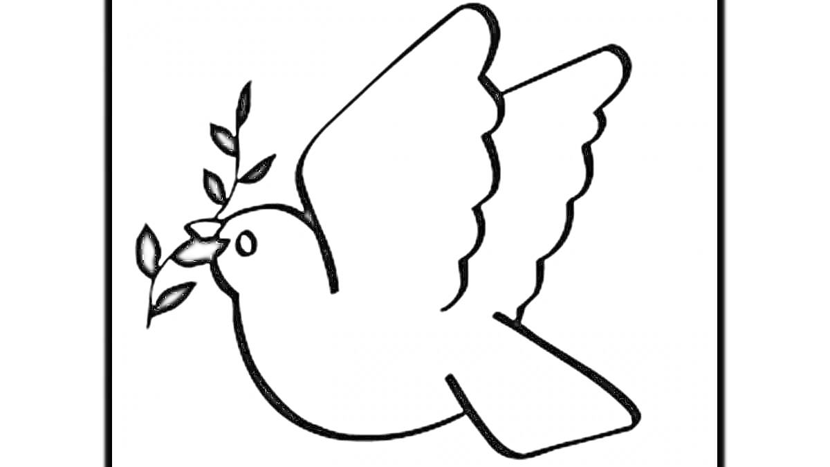 На раскраске изображено: Мир, Белый, Черный контур, Птица, Символ мира, Для детей, Ветка, Голуби