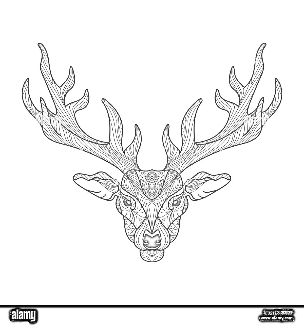 На раскраске изображено: Голова оленя, Рога, Животные, Арт, Контурные рисунки