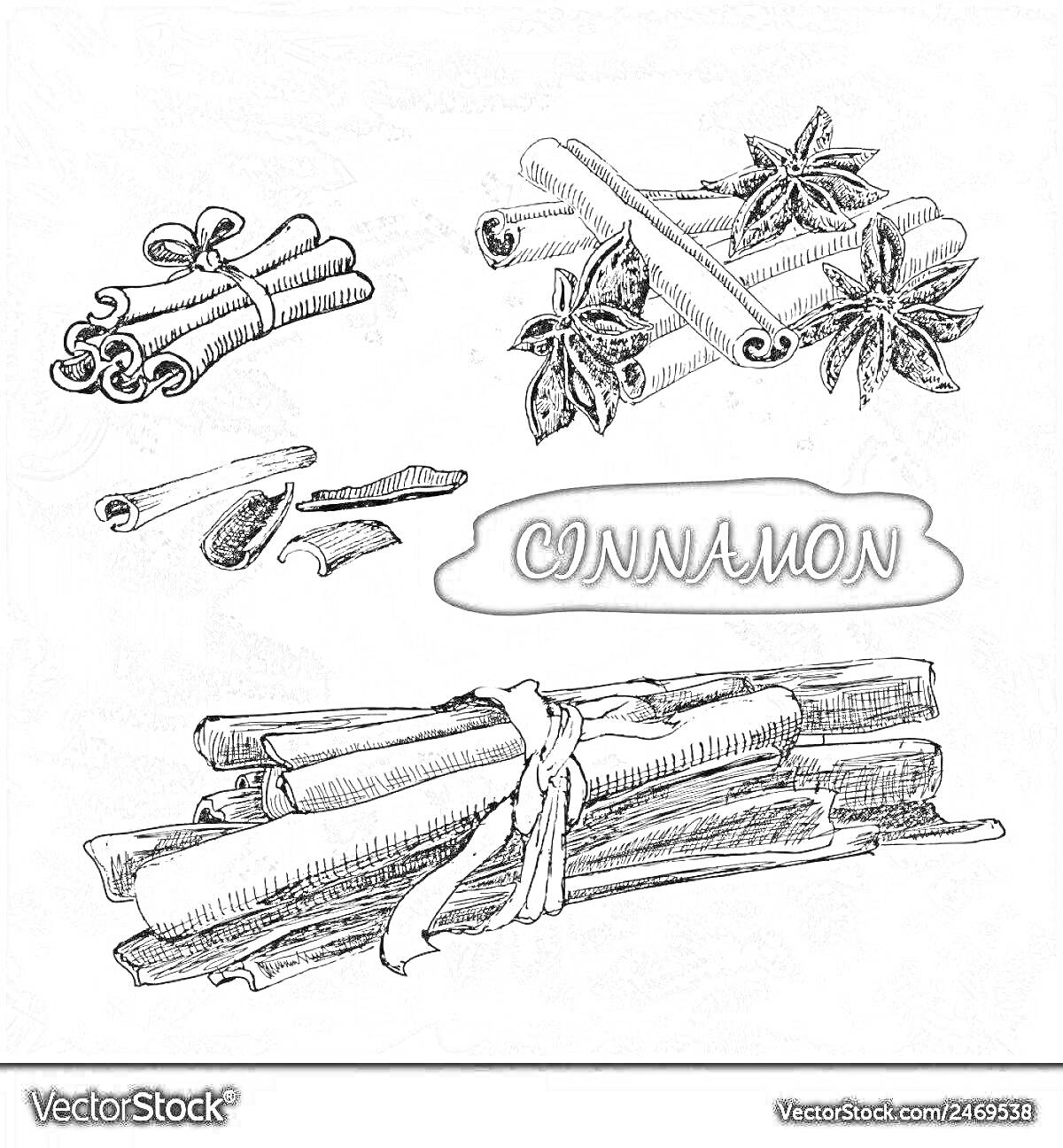На раскраске изображено: Корица, Специи, Бадьян, Надпись, Кулинария, Пряности, Ботаника