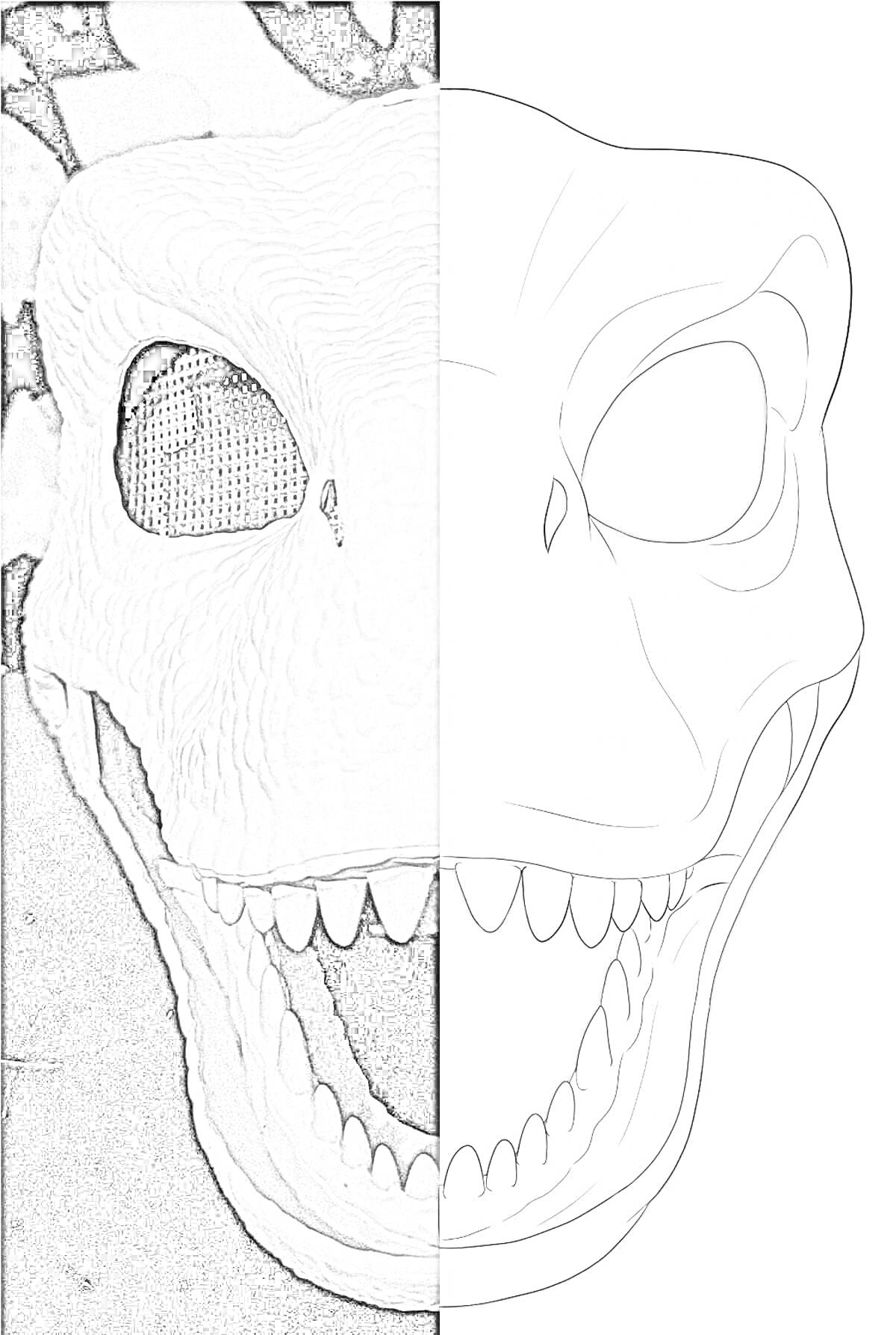 На раскраске изображено: Маска, Раптор, Динозавр, Зубы, Череп