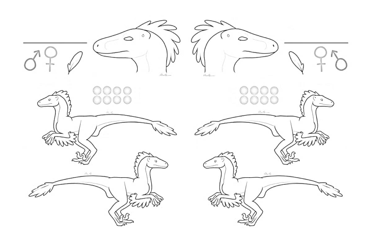 Раскраска Раптор фурри с различными возможностями настройки - силуэты рапторов, головы с разными прическами, иконки полов, перья, варианты узоров на теле.
