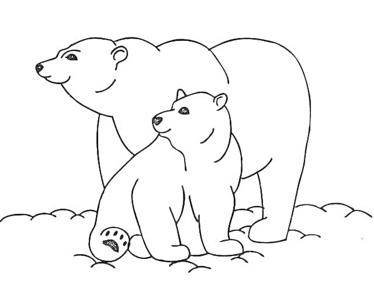 Раскраска Два белых медведя на снегу (взрослый медведь и его детеныш)