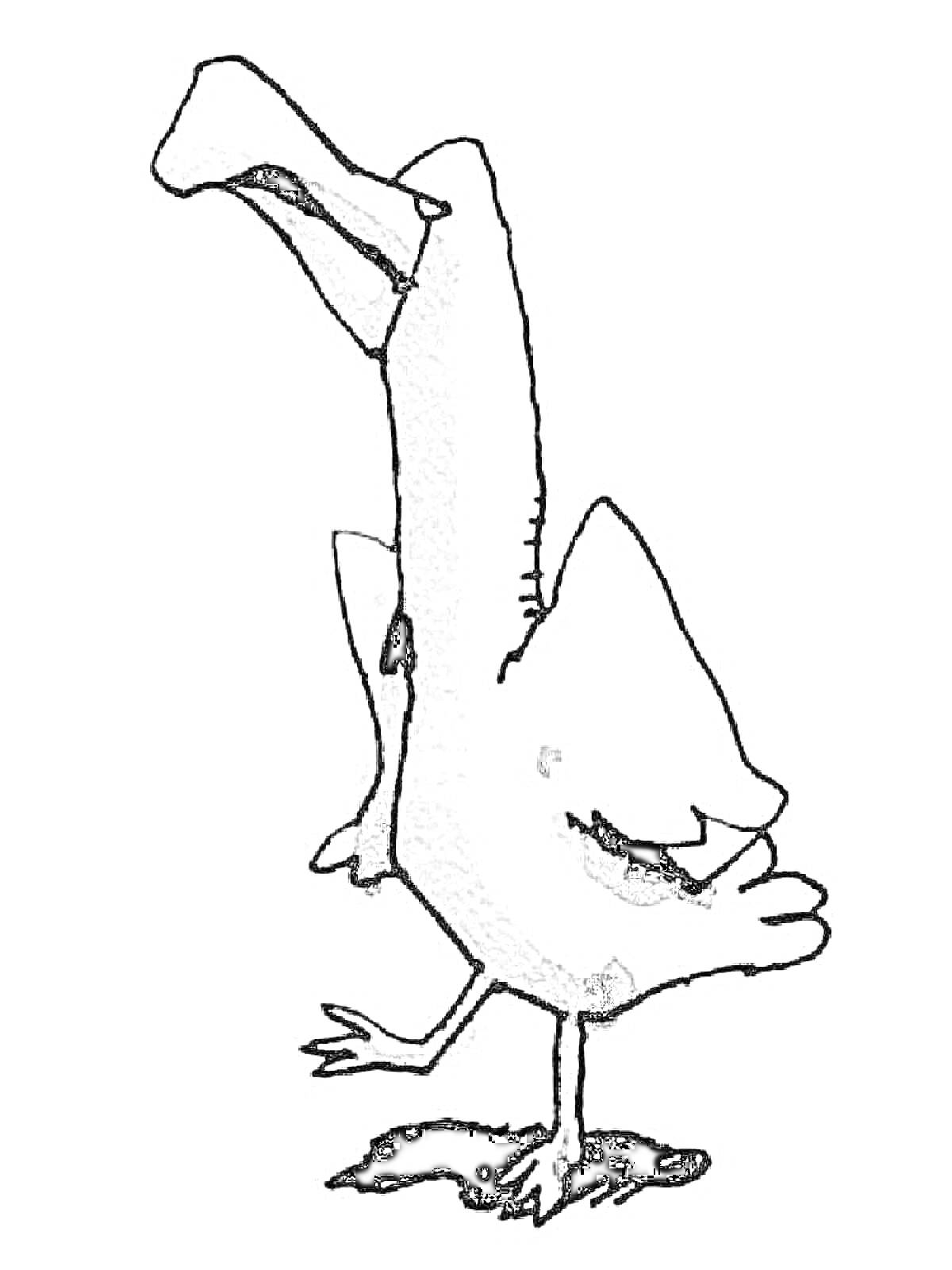 Альбатрос, стоящий на одной ноге с задранной вверх другой ногой.