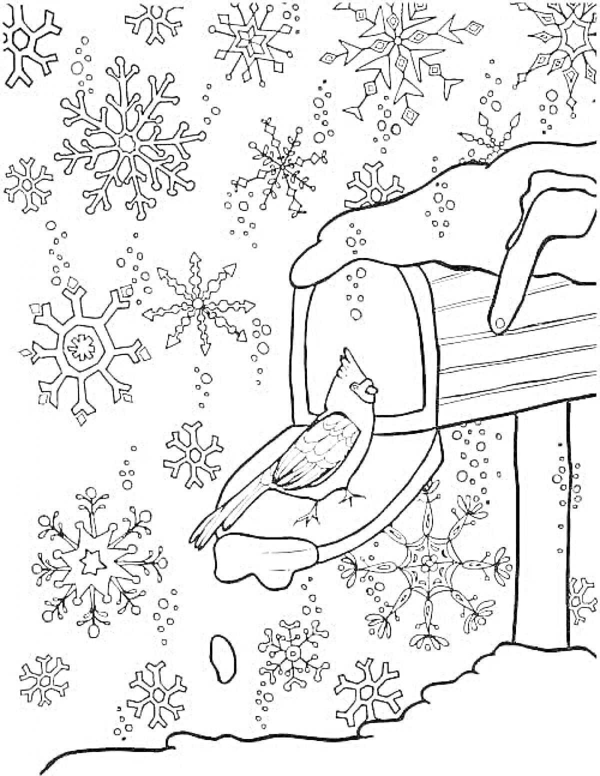 Раскраска Птица на почтовом ящике среди снежинок
